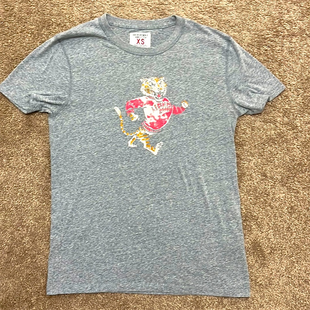 Grey Abercrombie & Fitch Vintage Style College Spirit Tiger Graphic Tee sz Xs